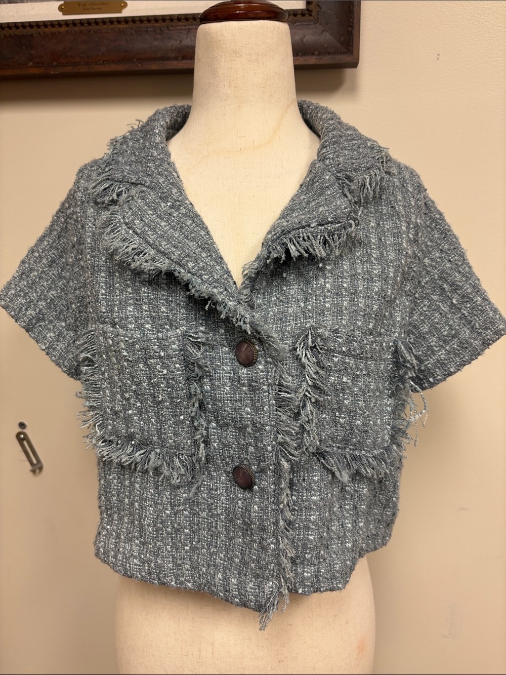 Cropped Fringe-Trim Tweed Jacket - Gray
